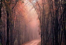 开云：[NBA]老鹰主场击败黄蜂 取得四连胜.