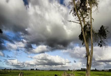 开云：这边线球战术神了！乌赞发球后接球上篮绝杀 休斯敦大学进精英8强.