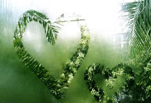 开云：英超：火力全开 切尔西队4-0南安普顿队.