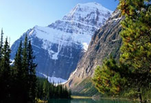 胆子大 穆帅一口气拿下海港3大功勋王牌 本土第一铁卫沦为多余人.