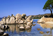 主场不敌升班马 热刺主帅愿为球队不稳表现负责.